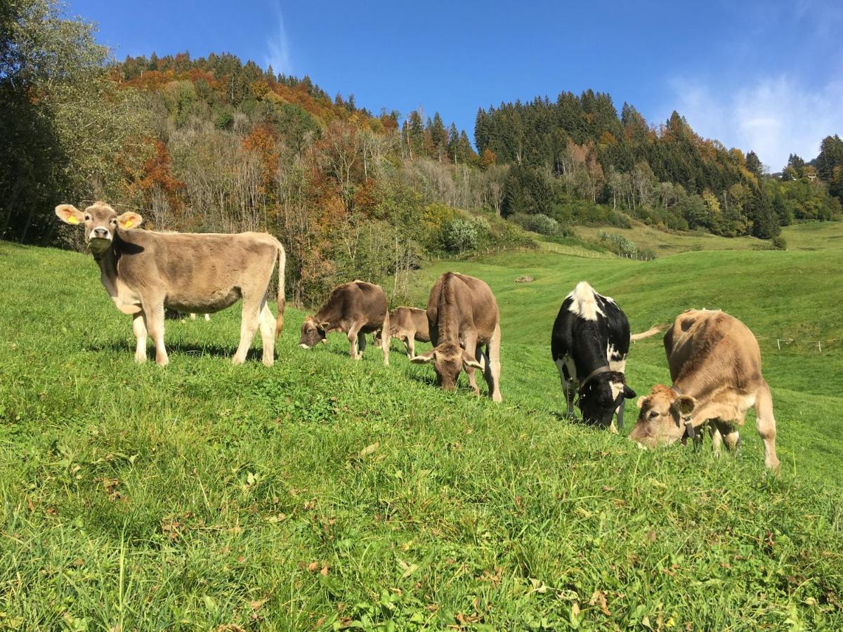 Schmiedlarhof Apartment Au (Vorarlberg) ภายนอก รูปภาพ